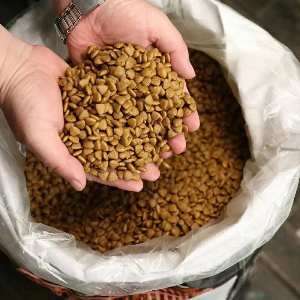 狗宝们爱吃的狗粮