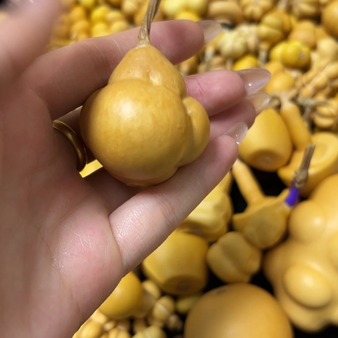 @*葫芦葫芦葫芦葫芦