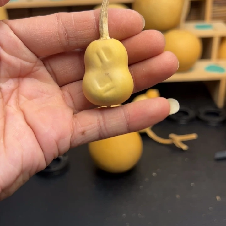 协****生葫芦葫芦葫芦葫芦葫芦葫芦