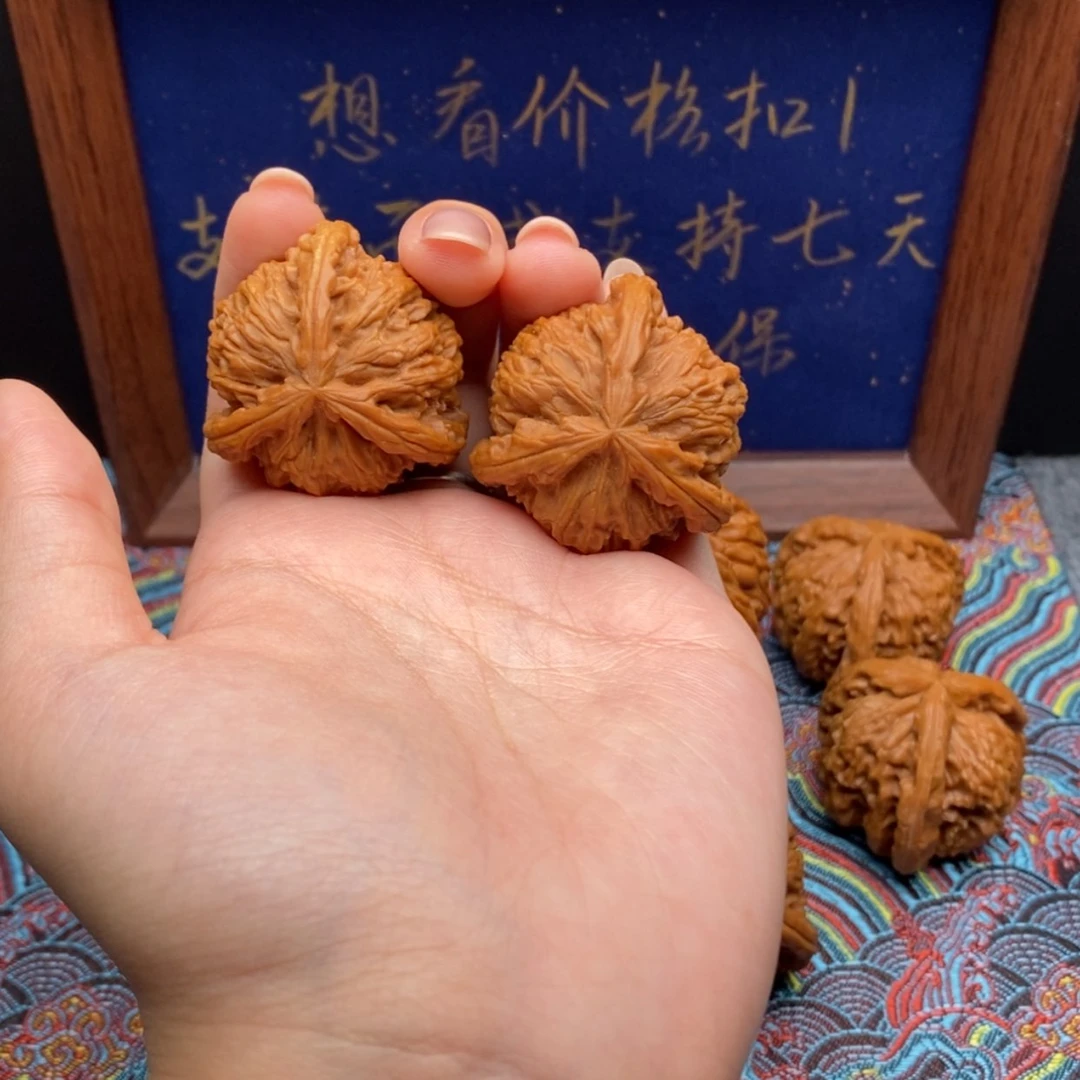 【闪购商品】嘿***?白狮