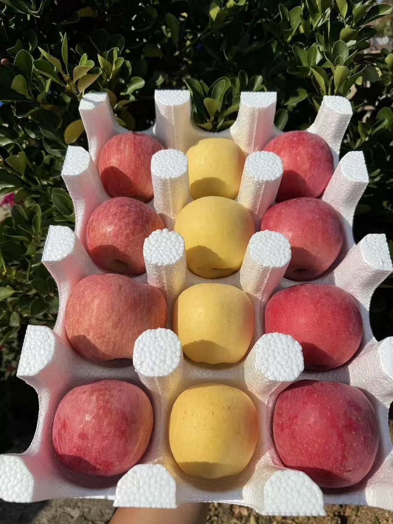 山东条纹红富士苹果新鲜采摘水果皮薄多汁