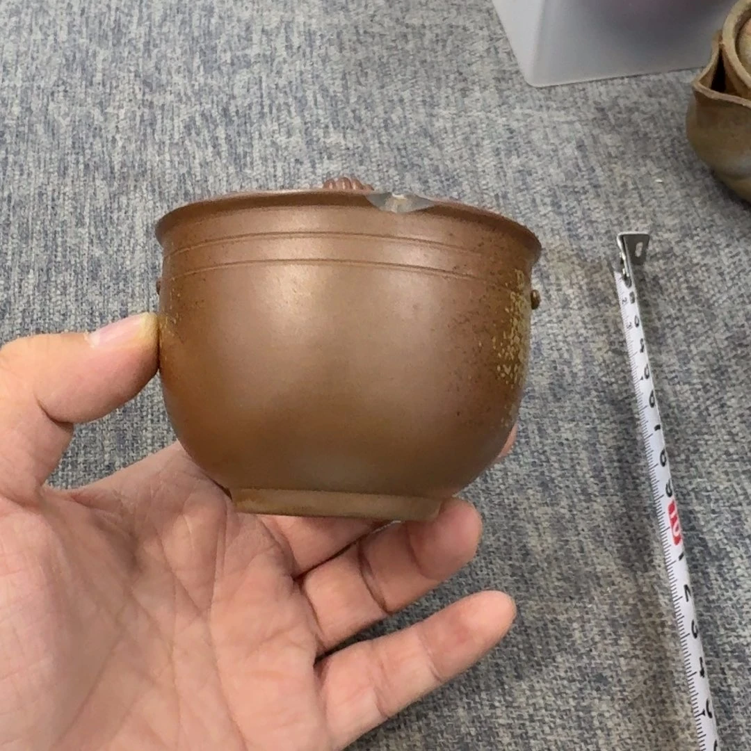 非常美丽漂亮的物品