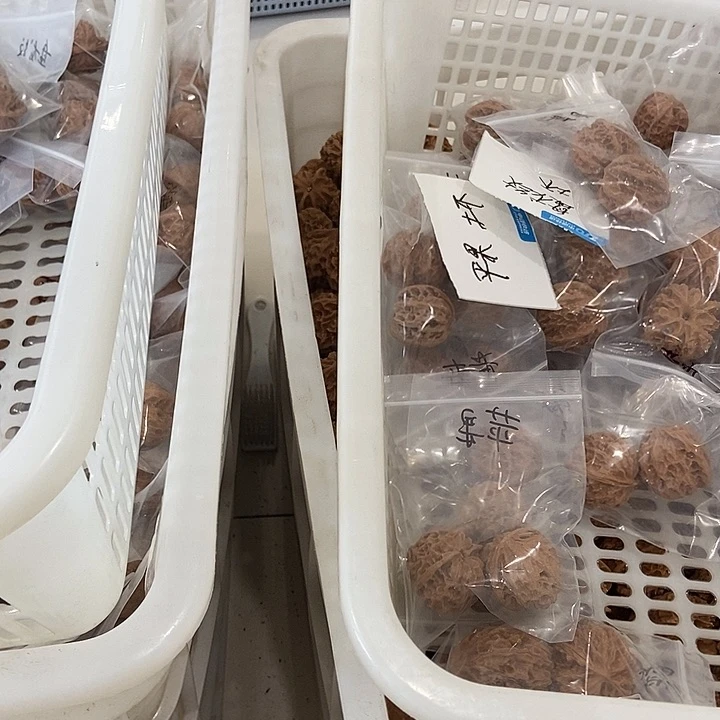 吊坠文玩核桃虎、苹、盘团购