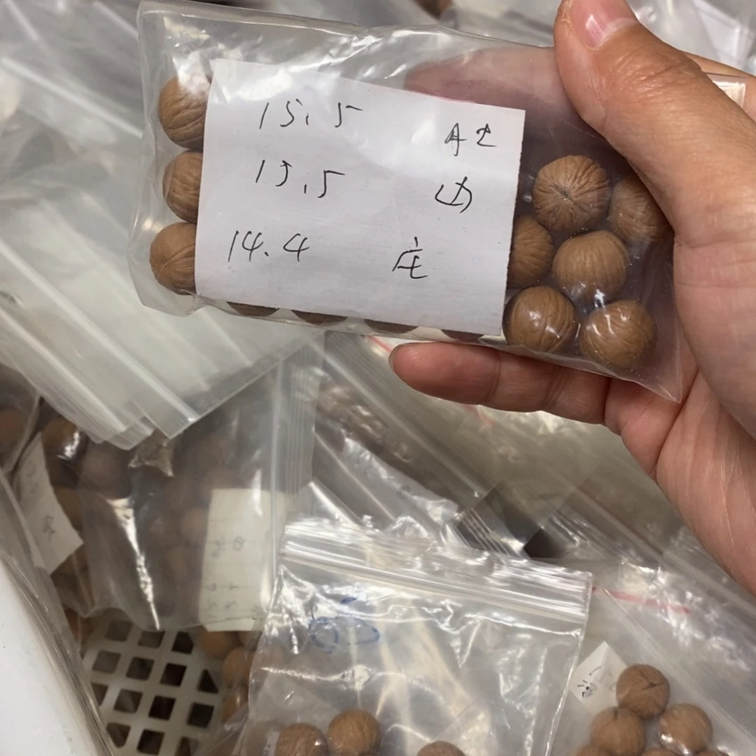 吊坠猴头核桃猴头