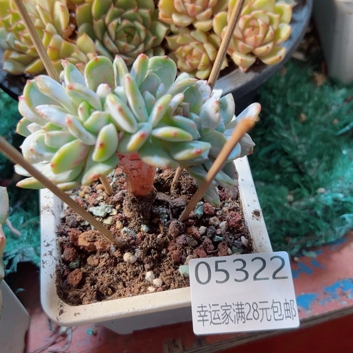 小****幸运的是我还没遇到