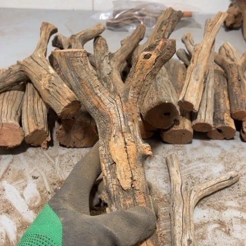 大果紫檀（缅甸花梨）曾***诺