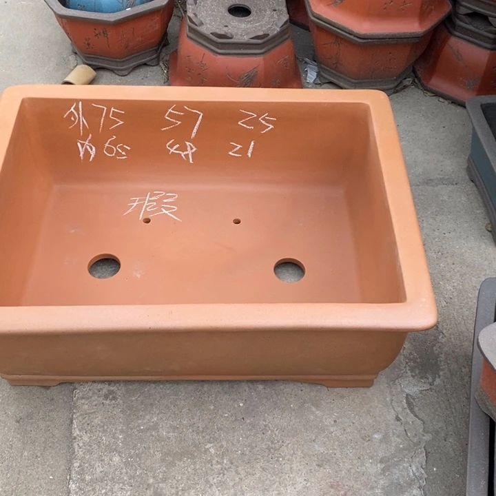 花盆紫砂只顾看手机的