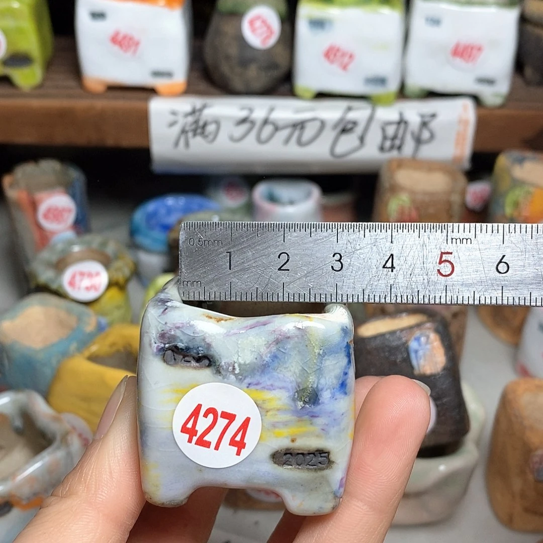 红陶拍5送一个小