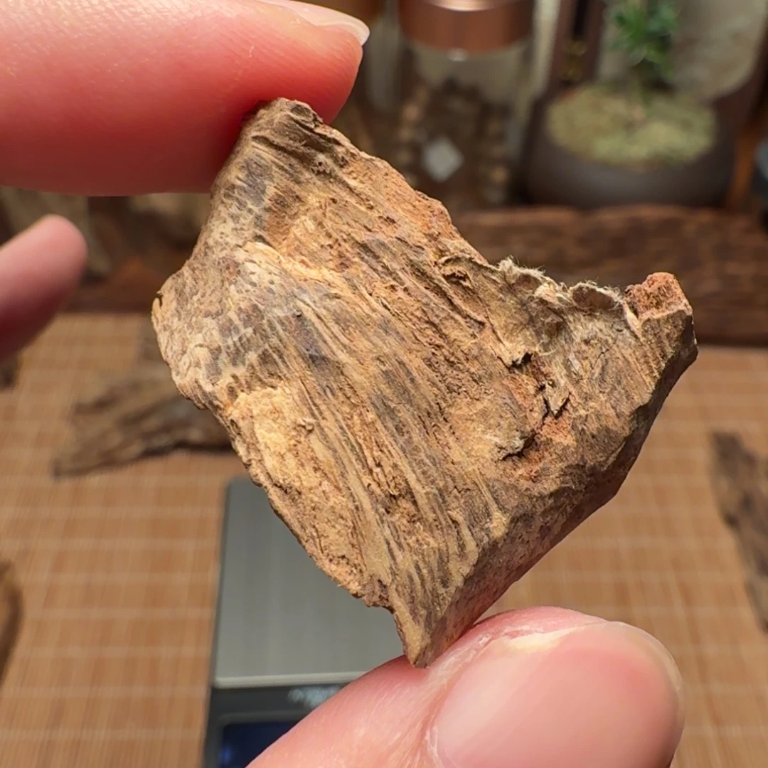 沉香印度熟结老料