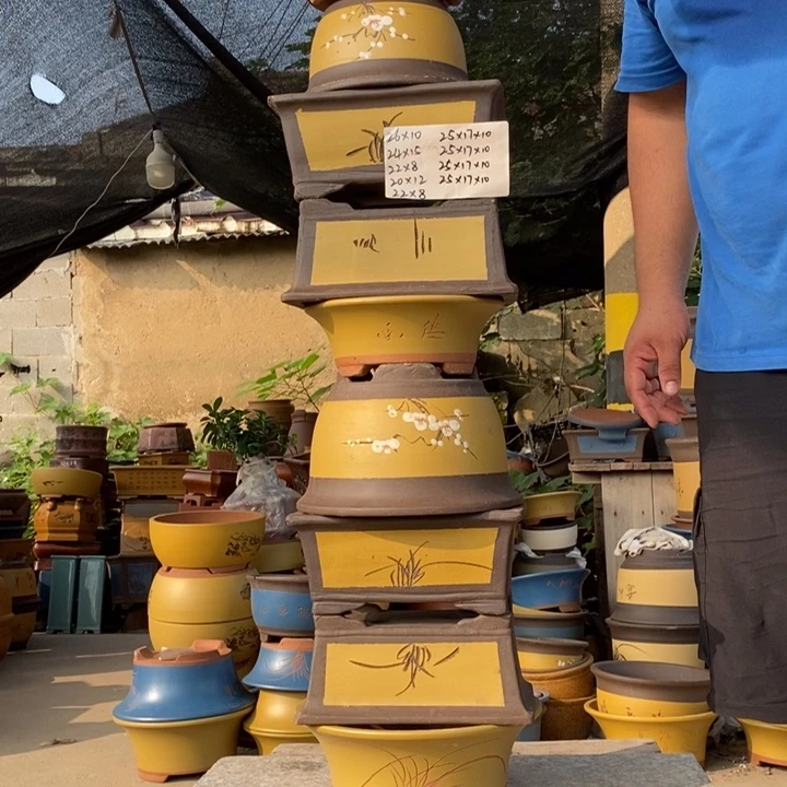 紫砂紫砂紫砂紫砂