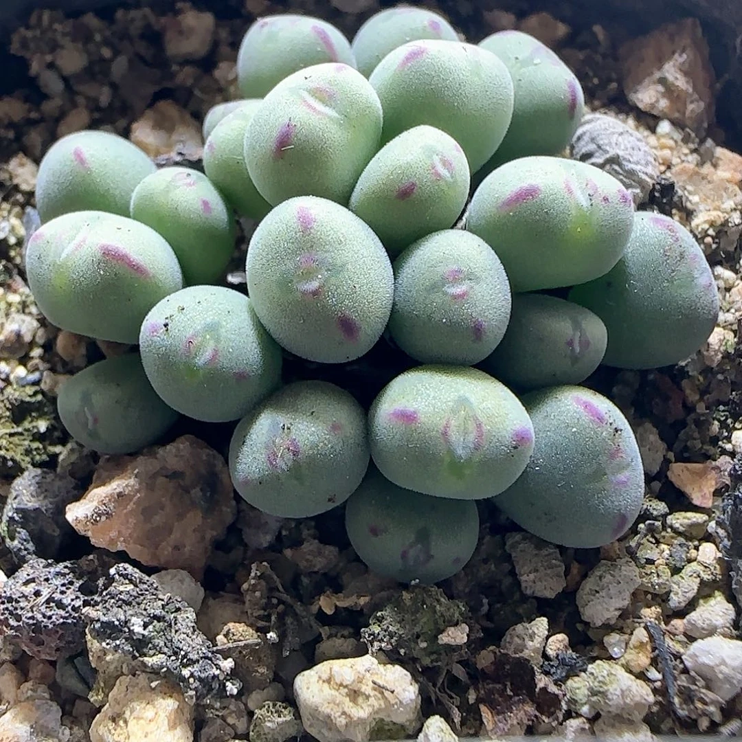 吴***晓哈哈哈哈哈哈哈57296