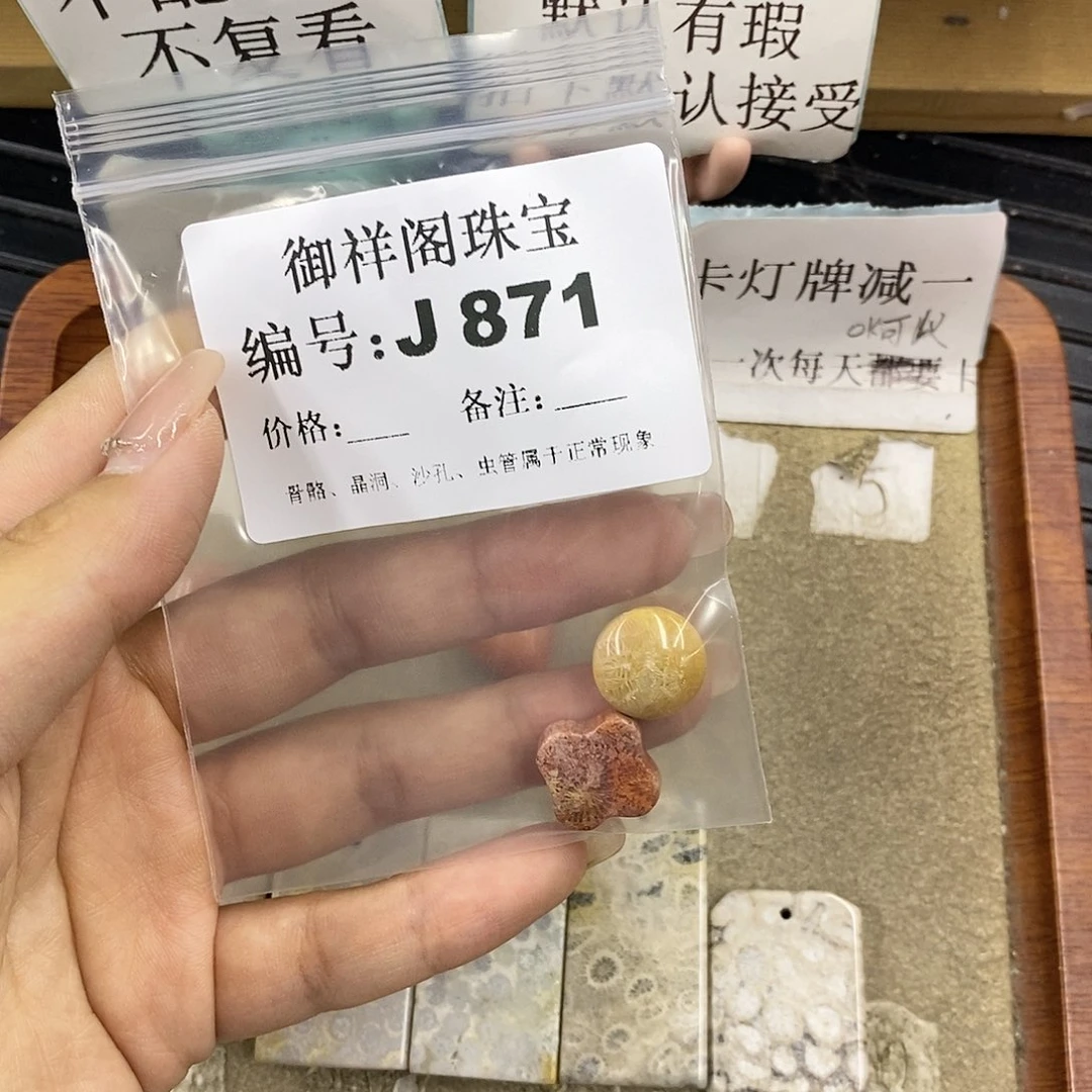 硅化珊瑚（珊瑚玉）未镶嵌颈饰不**夜