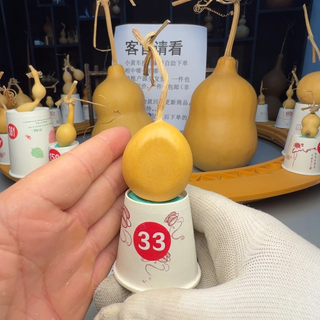 闪电购自助下单编号33