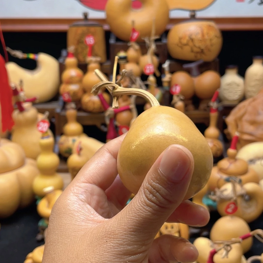 ?**v大自然的秘密第十一节课