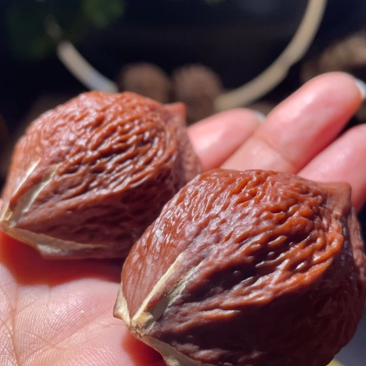 桃核吊坠鳄鱼背橄榄核40