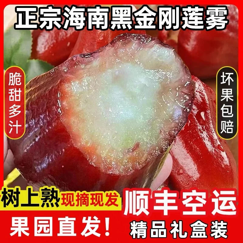 【顺丰空运礼盒】海南三亚正宗黑金刚莲雾新鲜当季热带水果莲雾果