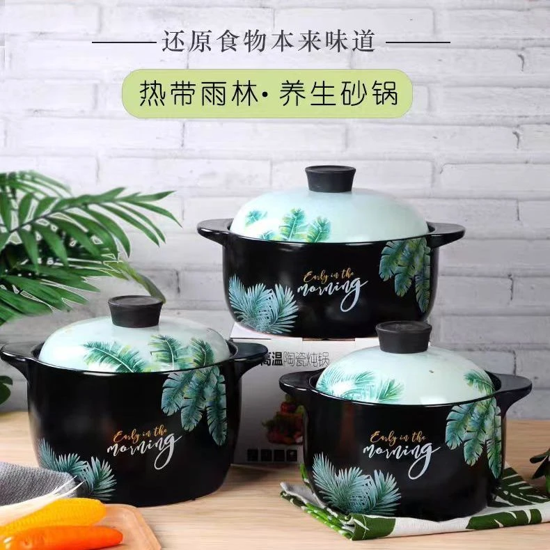 【热带雨林】3L砂锅家用炖锅汤锅煲汤高颜值煤气灶明火煲汤锂瓷锅