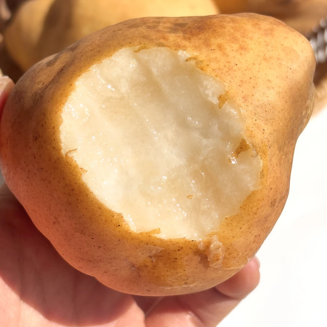 【后熟丑梨，需要微软再吃】山东丑梨微软后软糯香甜冰淇淋口感约5斤