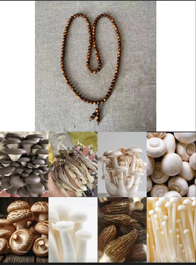 BZ101（土特产）搭配菌菇枸杞/多样性发货