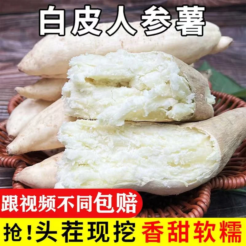 新鲜白皮人参薯白心红薯粉糯香甜粗粮宝宝辅食地瓜板栗薯