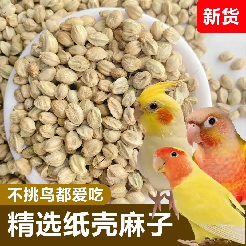 麻子大粒炒熟纸壳五香麻子特大颗粒人吃麻籽麻子大颗粒特大号食用