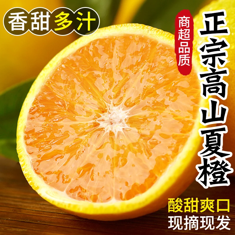 正宗夏橙整箱新鲜当季水果果冻手剥脐橙冰糖甜橙孕妇水果高山甜橙