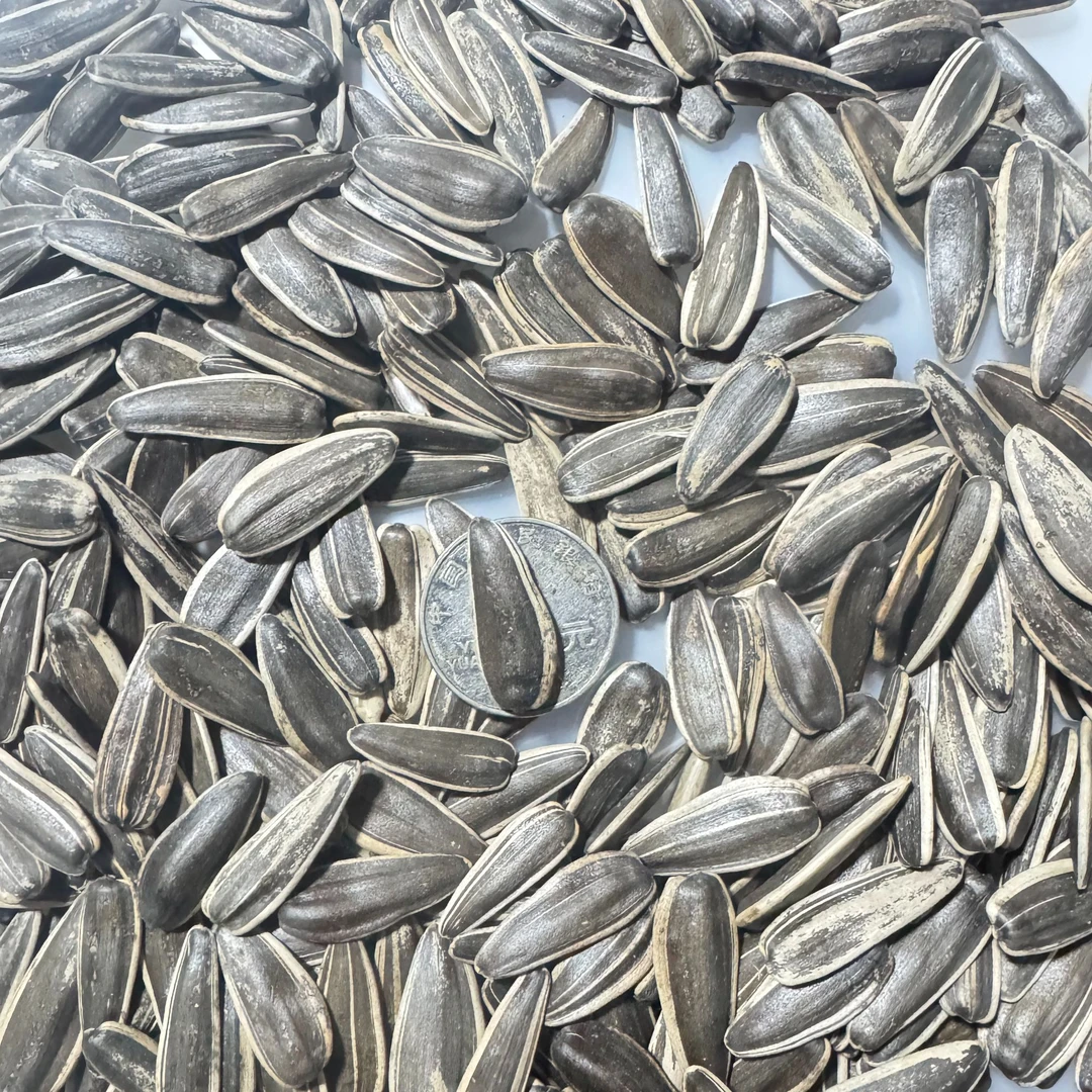 原味熟瓜子中大颗粒饱满追剧必备小食