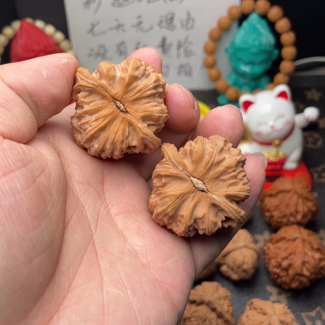 核桃把件小****奶39无修三角白狮子