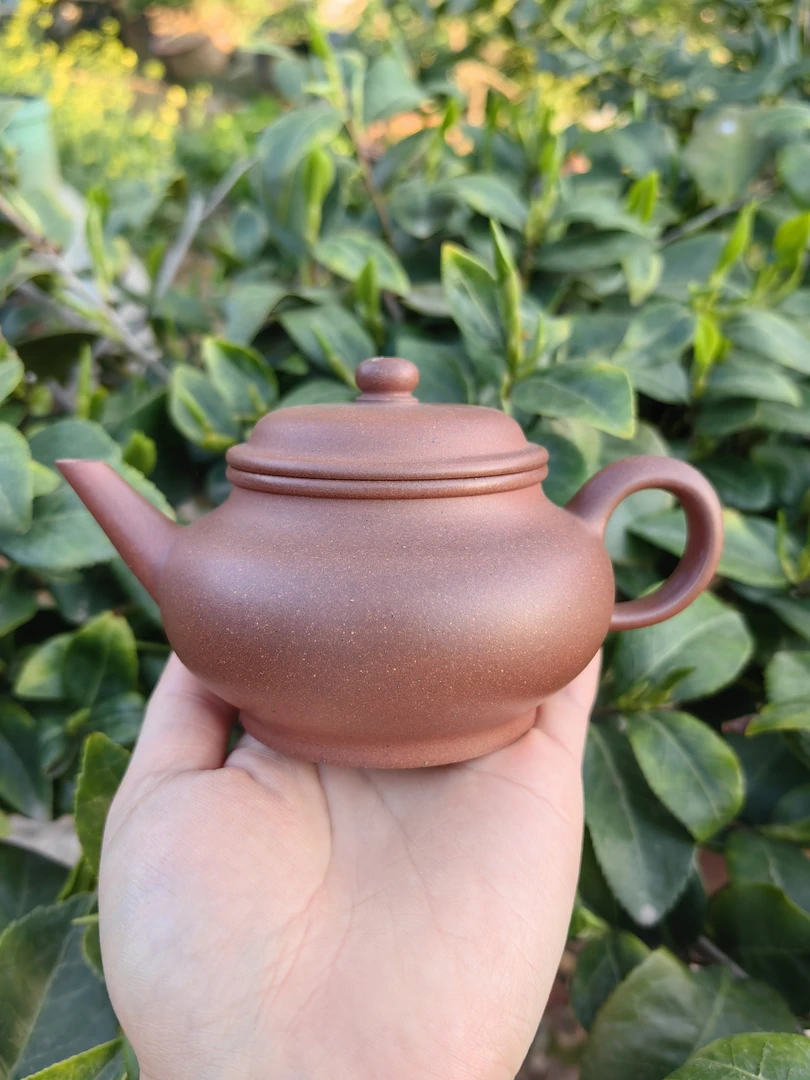 《水平》宜兴原矿黄龙山无添加中槽清纯手半手制紫砂壶160容量