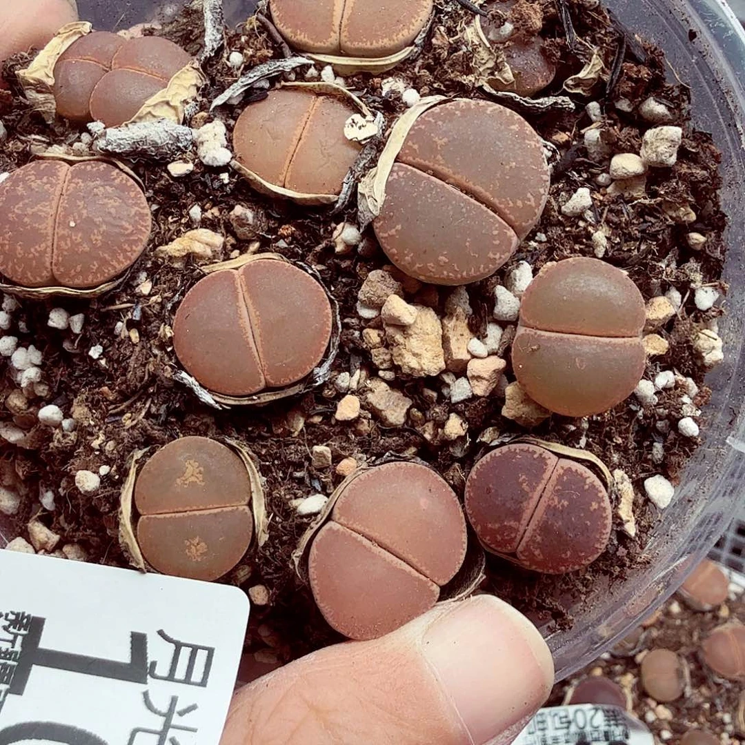 你就不要在联系我们吧100