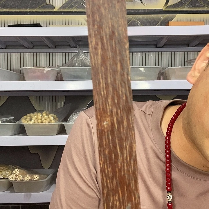 大果紫檀（缅甸花梨）527