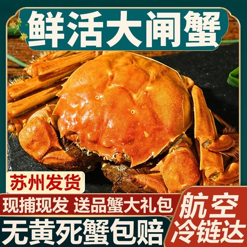 【活蟹】苏州大闸蟹全母蟹4.5-4.2两 6只送2只共8只 礼盒装活蟹现发 顺丰/京东发货