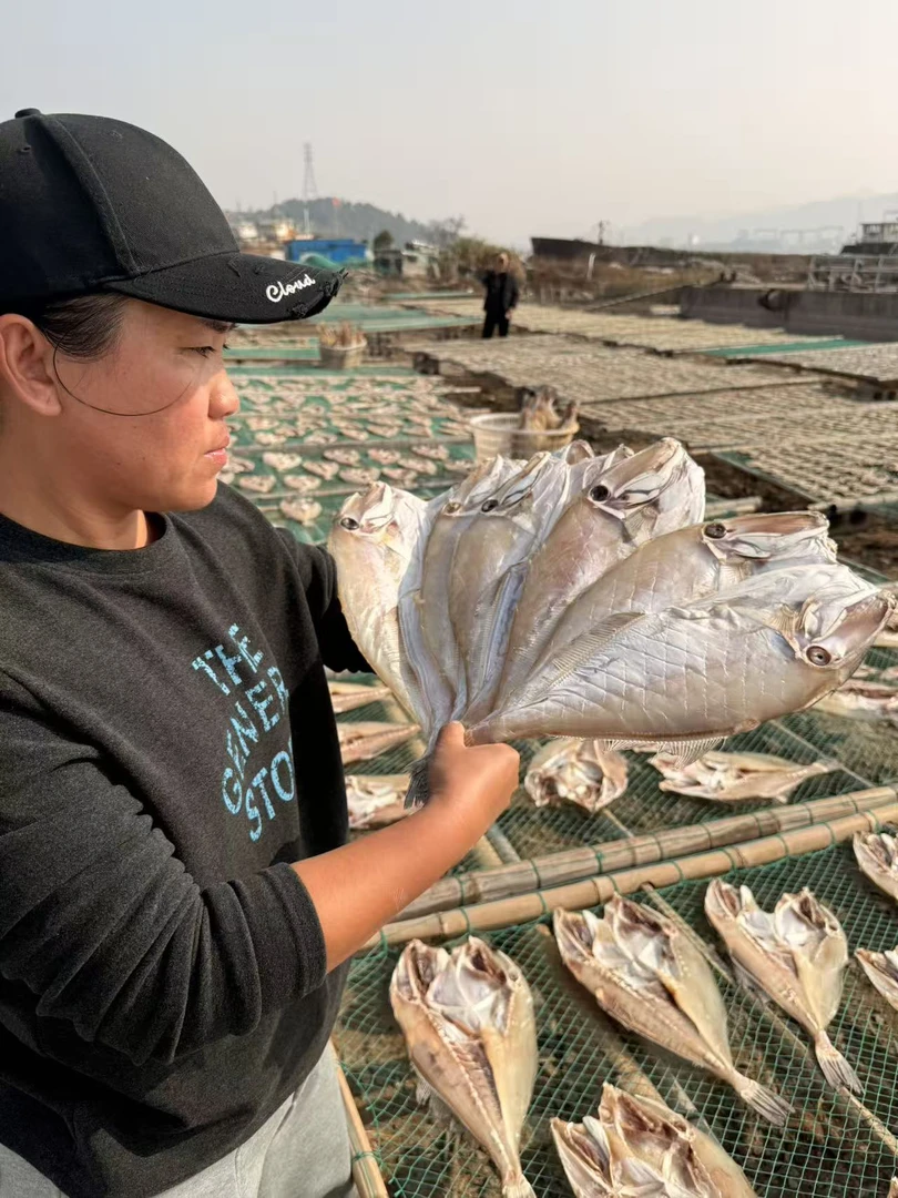 石浦本港特色马面鱼鲞 微咸 半干 自然晾晒