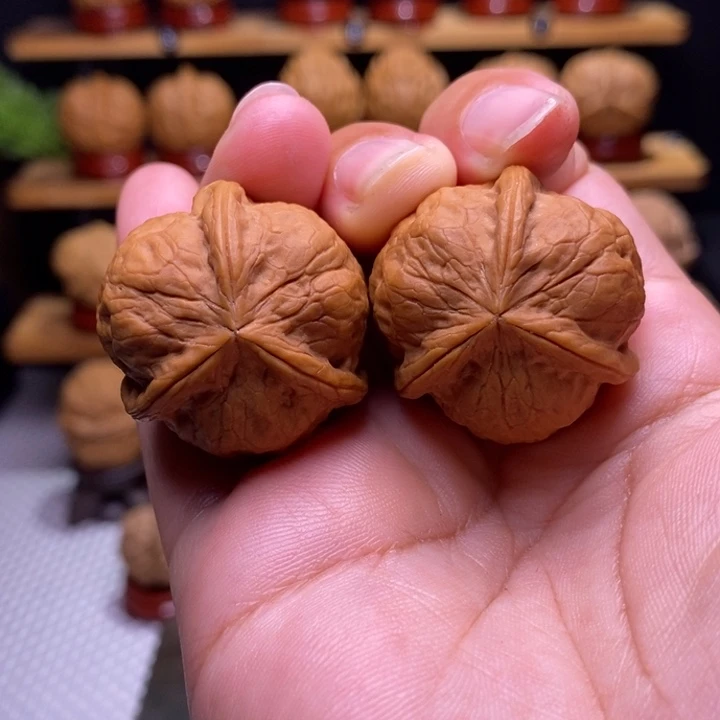 核桃云铁甲壳虫三棱25号
