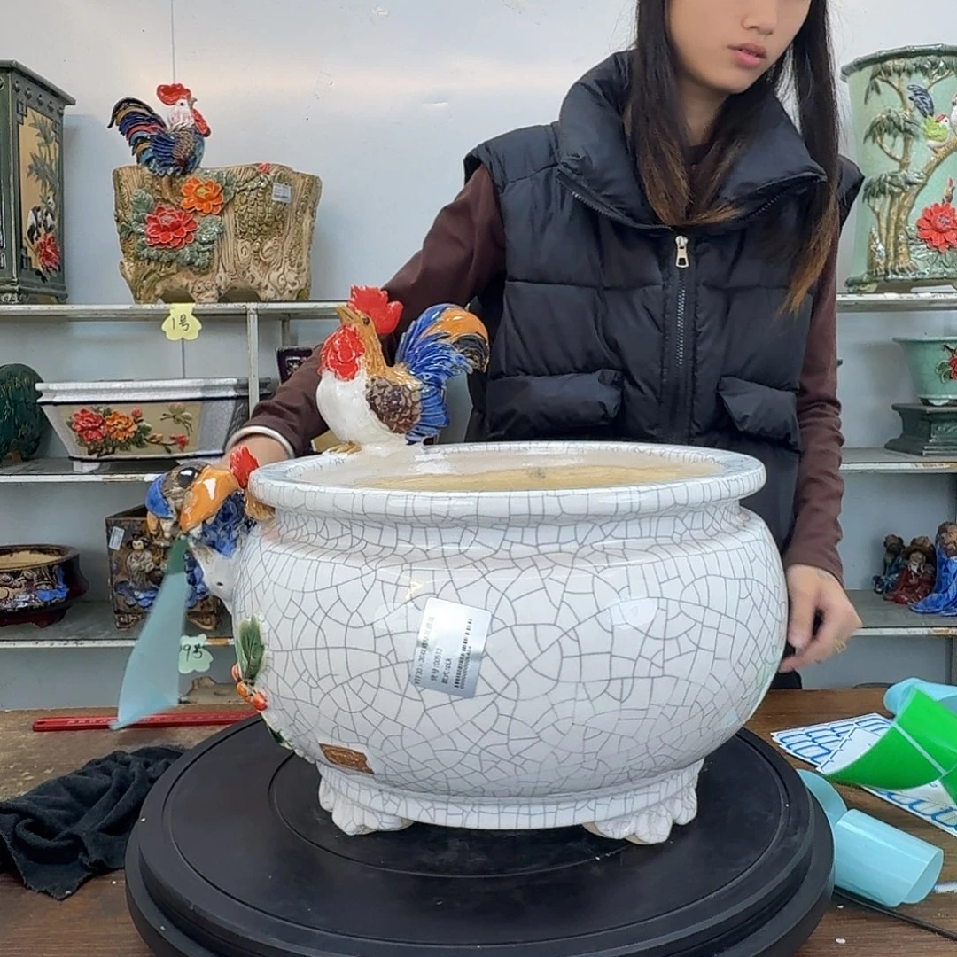 雄***鹰这个世界的一切美好与这个