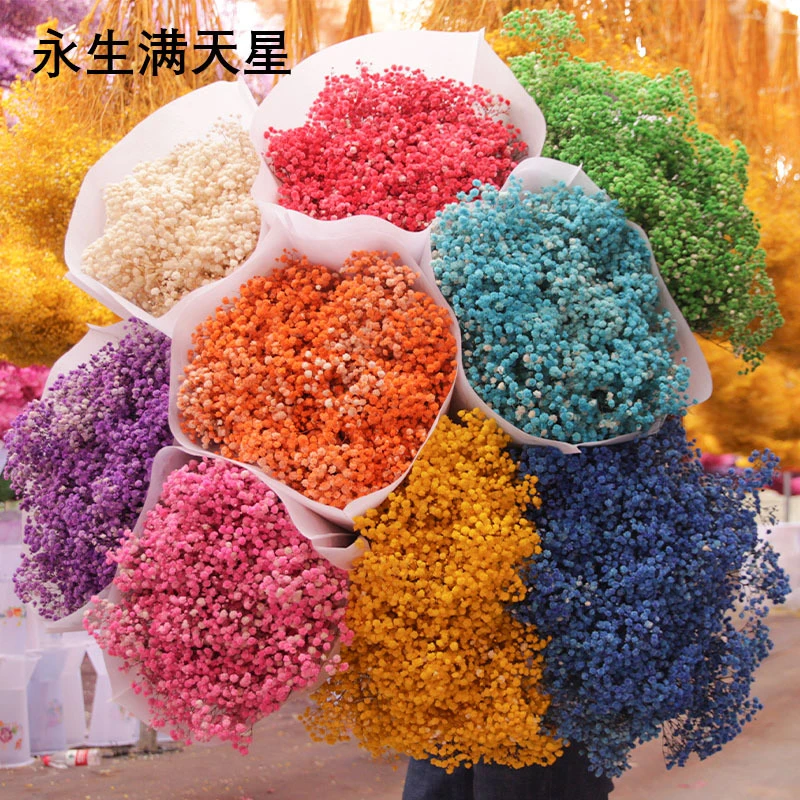 AB级品质永生满天星420克花头饱满颜色均匀工厂批发