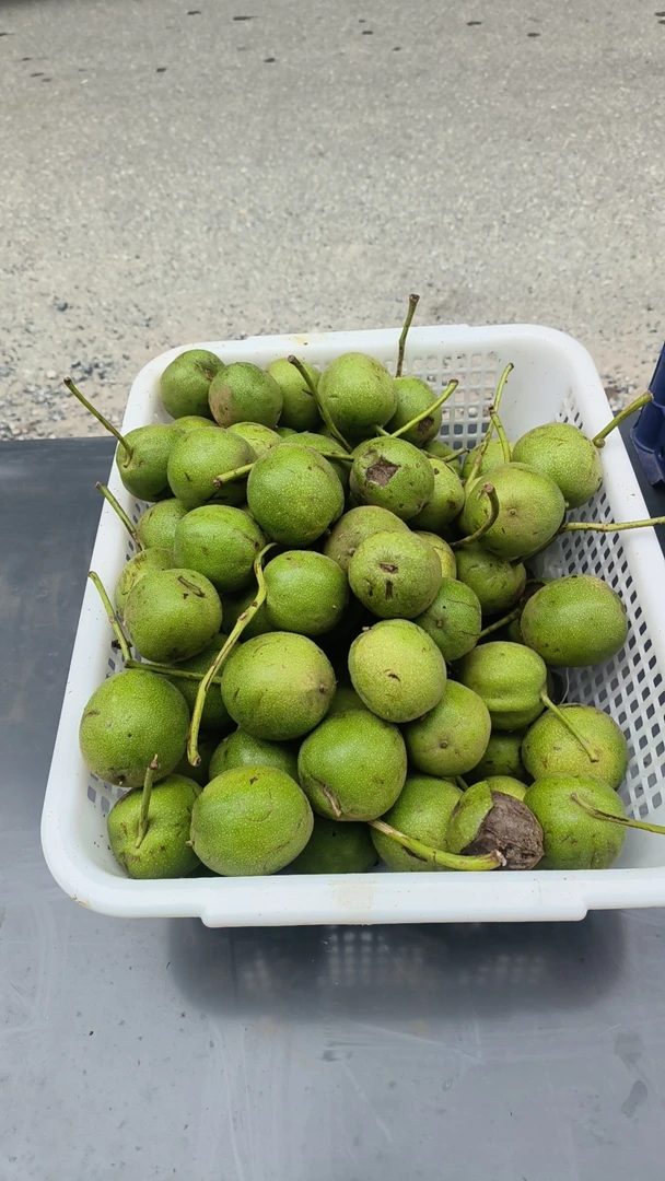 文玩核桃青皮四座楼四个保熟保品，联系官帽w15194781265青皮核桃