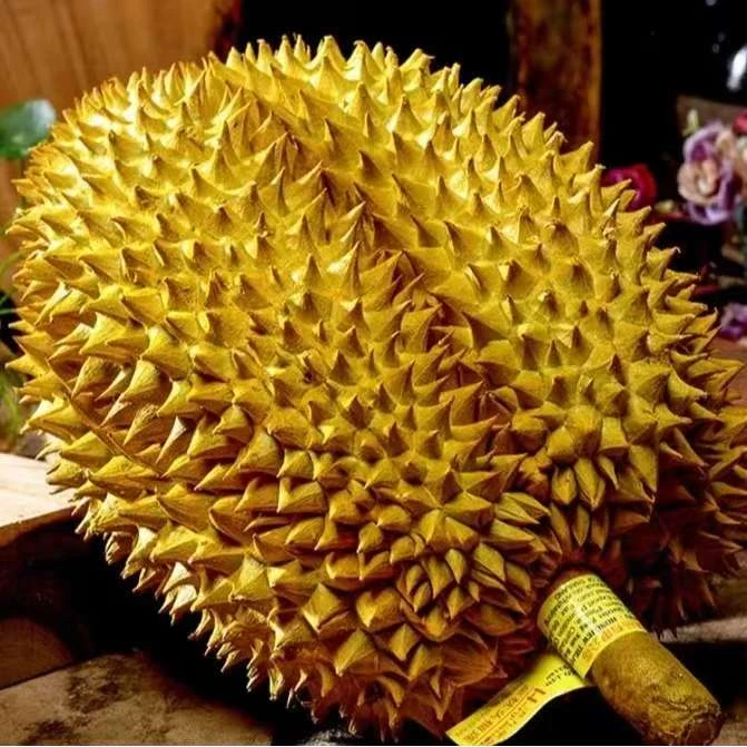 黄金普雅【一果一拍】新鲜榴莲/香甜软糯/核小/2-6斤榴莲同城配金枕泰国