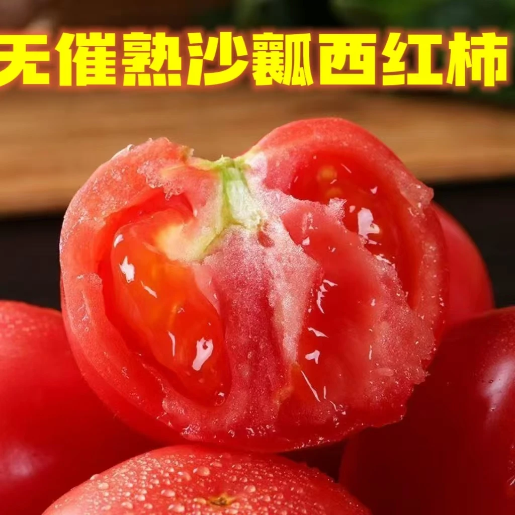 山东沙瓤西红柿粉柿子新鲜蔬菜现摘现发