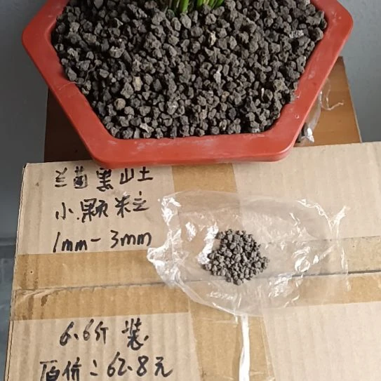 D***豆兰菌黑山土小颗粒6.6斤