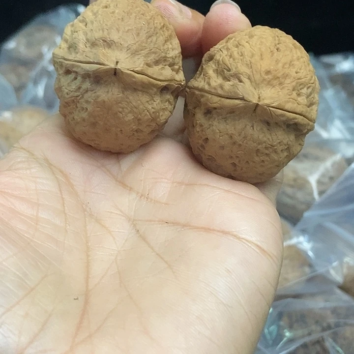 木质类云南铁核桃基地86