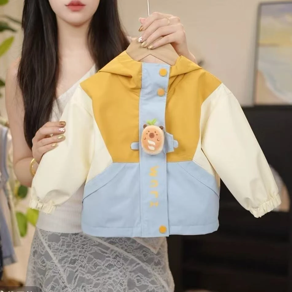 秋季洋气时髦百搭拉链三色相拼连帽普通外套男女童户外夹克