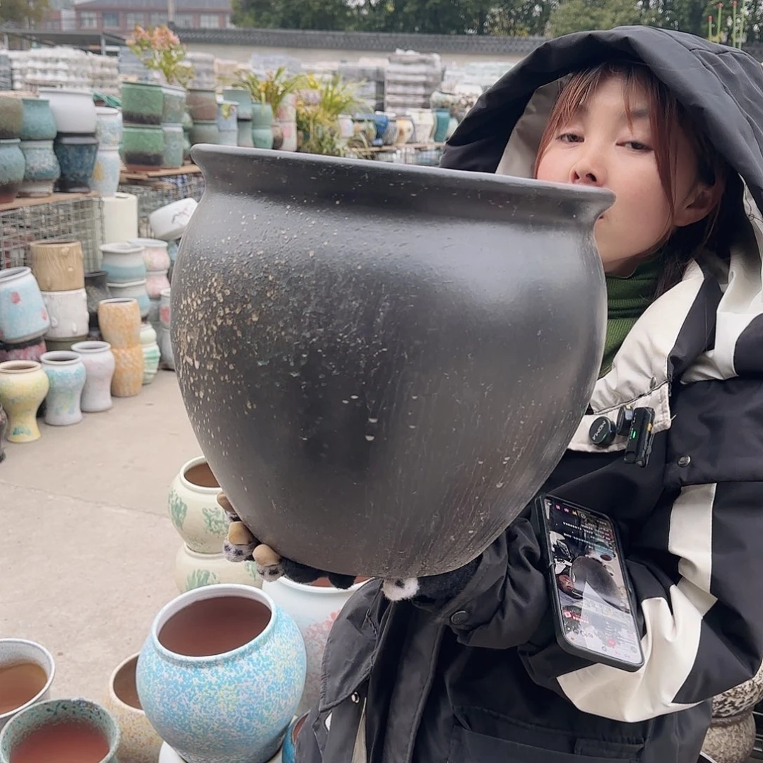 王嫂花盆1223-154高30口30