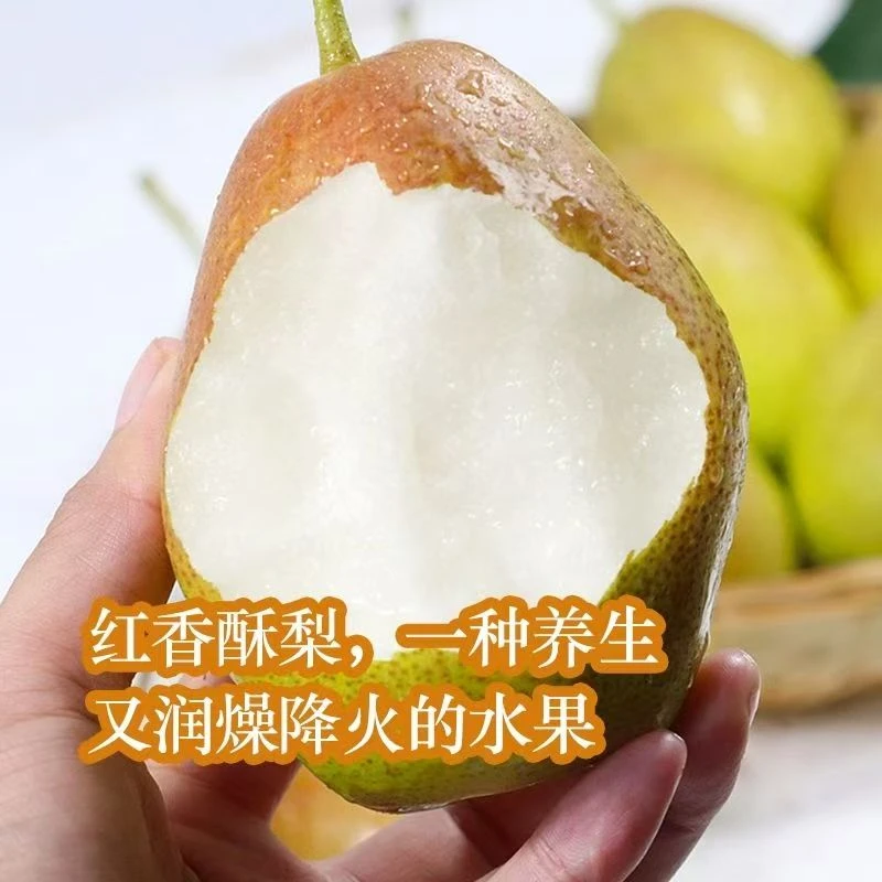 正宗阳信媚梨7号脆甜多汁产地直发坏果包赔
