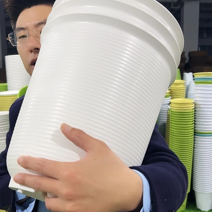 正品高陶口30高31白色3只无托