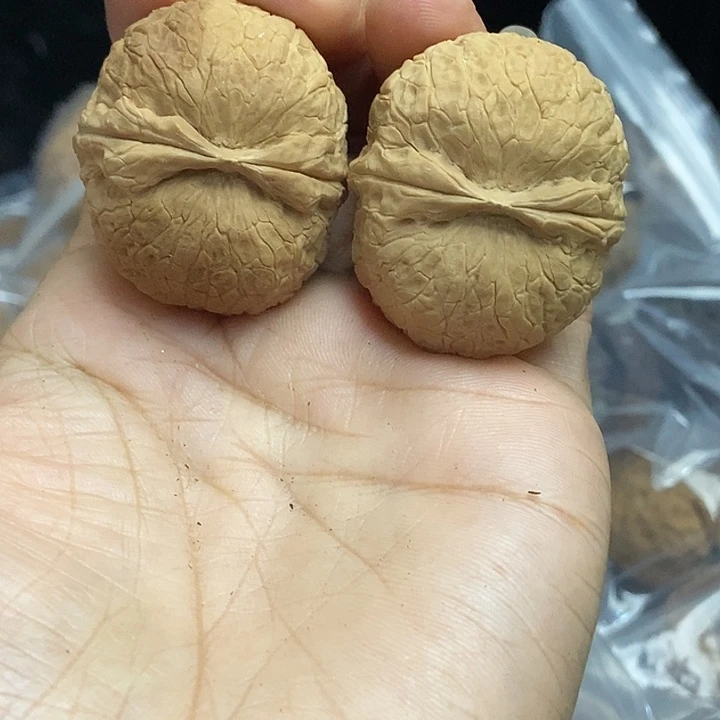 把件文玩核桃云南铁核桃基地69