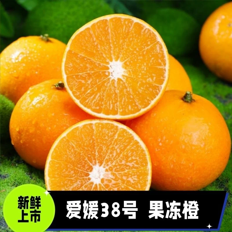 广西W爱媛38号果冻橙新鲜应季爆甜多汁现摘水果