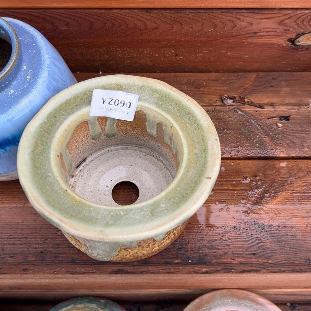 粗砂花盆林**?y z90盆盆