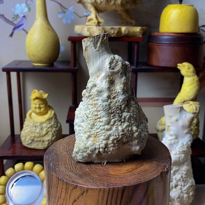 棋***生黄杨木亲呀快手哦咋了
