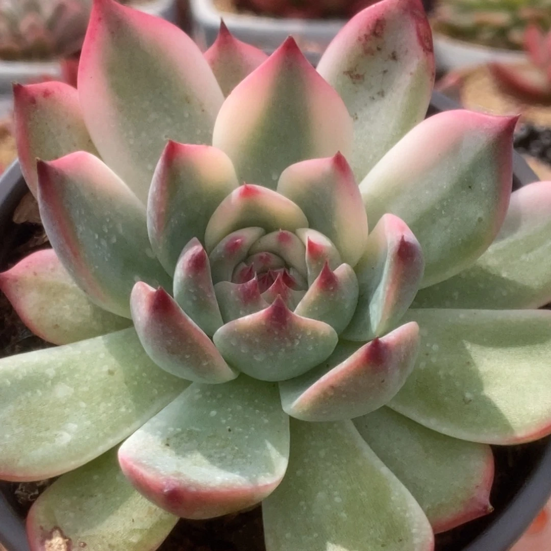 78福利锦锦锦锦锦锦锦锦